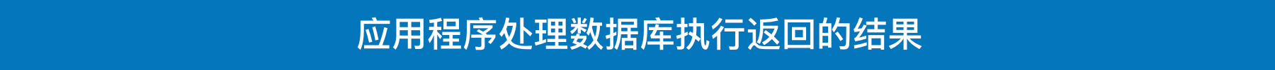 应用程序处理数据库执行返回的结果